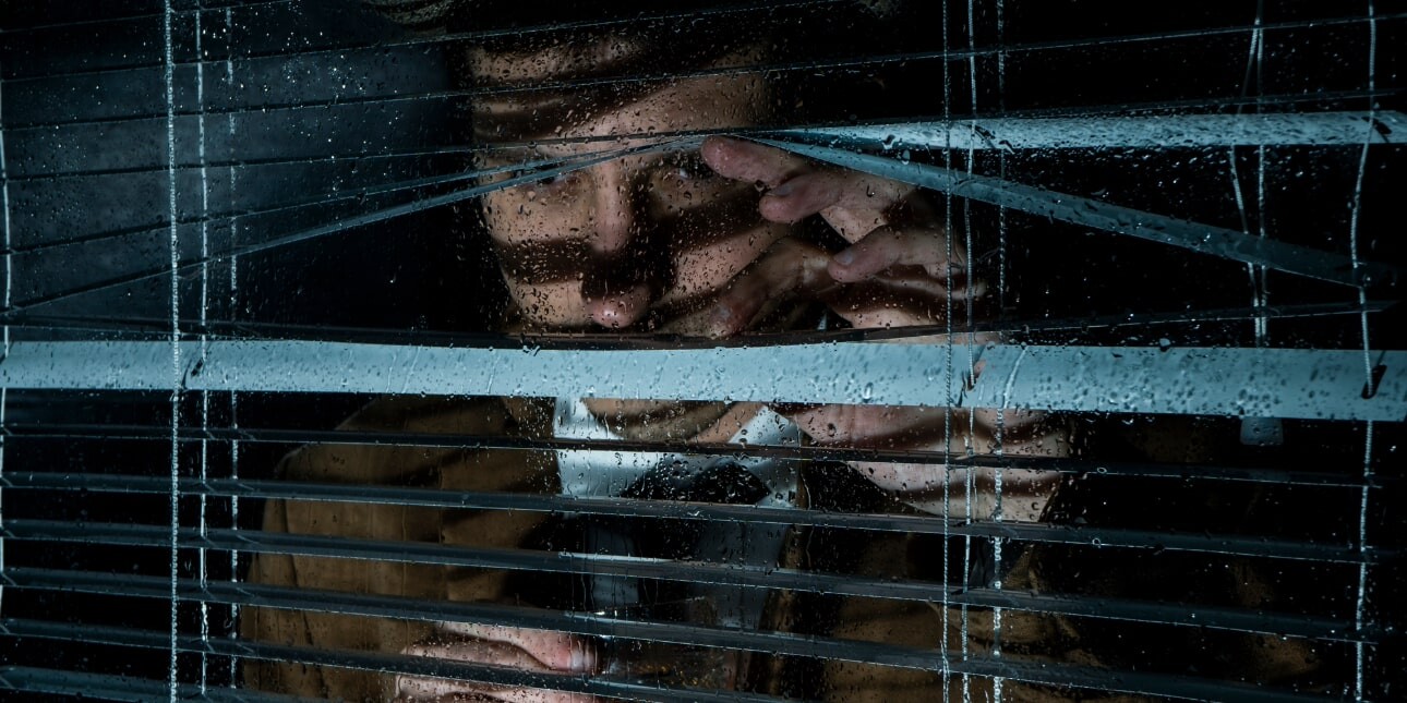 Vukasin Stanojlovic / iStock