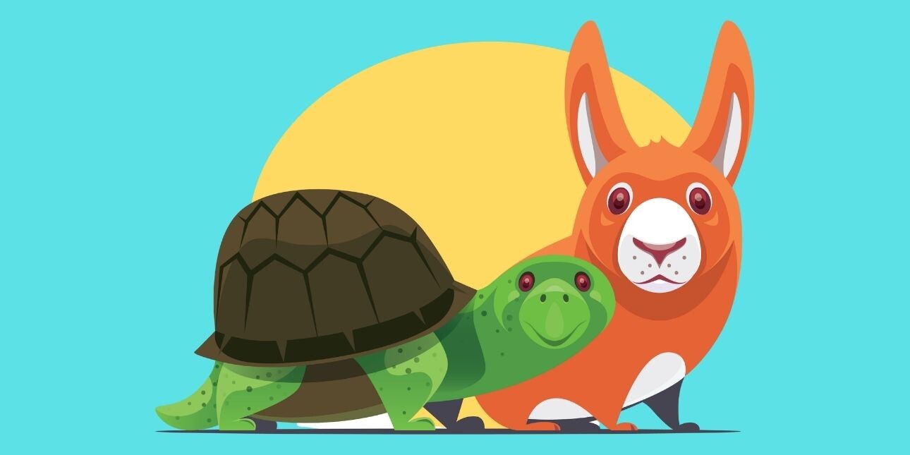 A cartoon-like illustration of a smiling tortoise and a shocked looking rabbit