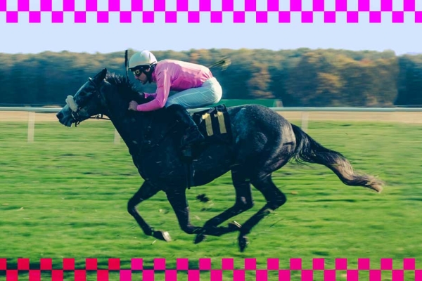 Image for article 'Horse Racing: How To Repair Its Reputation?'