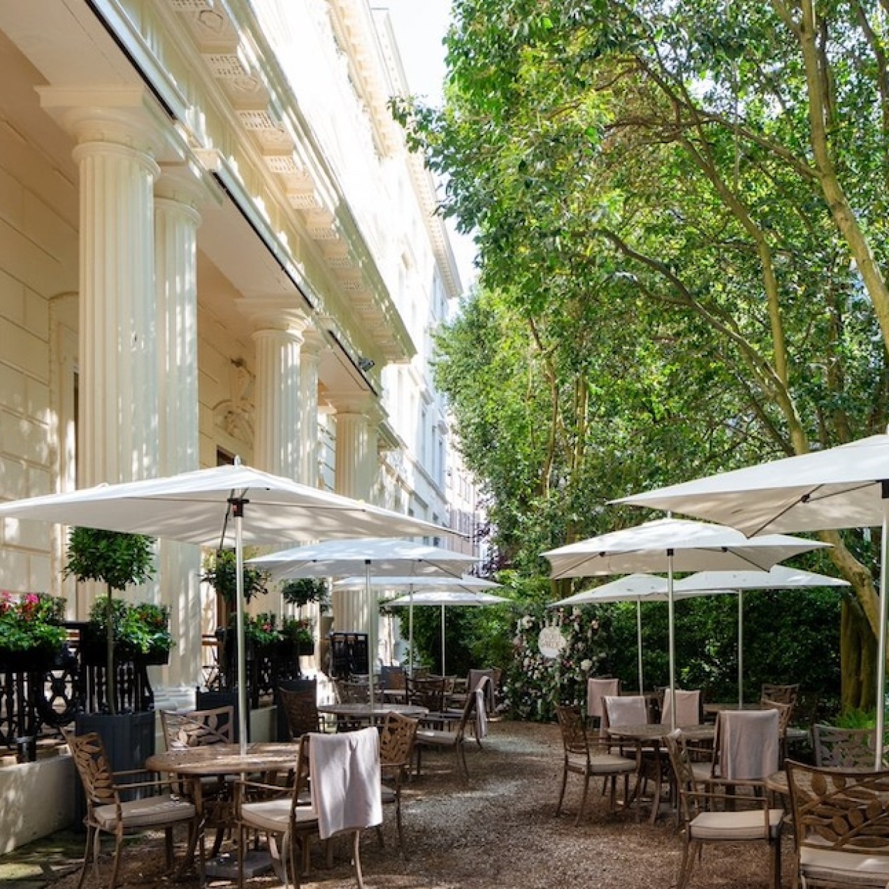 The terrace of 116 Pall Mall consisting of tables and chairs under parasols, leafy green trees on the right and three regency period columns of a cream building