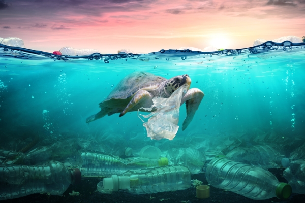 Image for article 'In conclusion: The growing AI content pollution problem'