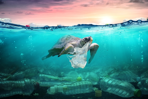 Computer generated image of a turtle with a plastic bag in its mouth, swimming in a turquoise shallow sea littered with plastic bottles on the seabed and surface. The sky is pink with yellow and purple hues.