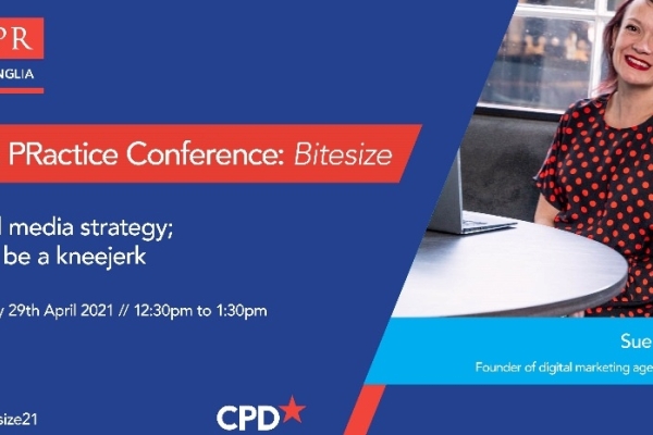 Image for article 'Don't be a kneejerk - what to expect from Sue Keogh at the CIPR East Anglia's Best Practice Conference: Bitesize'