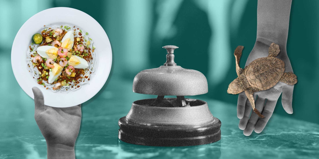 A hand holding a plate of food, a hotel reception bell and an open hand holding a baby turtle.