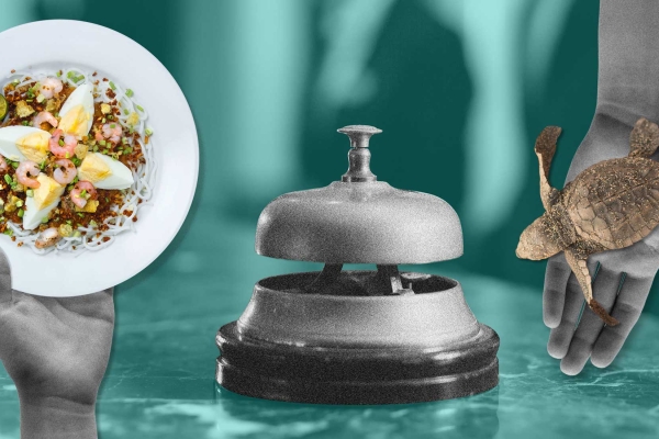 A hand holding a plate of food, a hotel reception bell and an open hand holding a baby turtle.