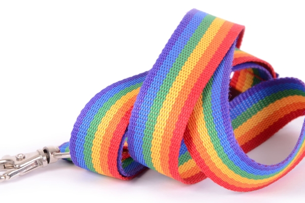 A rainbow coloured lanyard strap