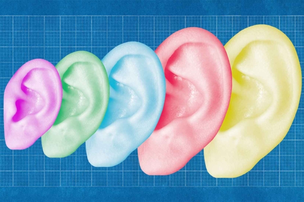 Five different sized, overlapping ears, on top of blueprint grid paper.