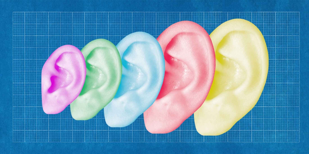 Five different sized, overlapping ears, on top of blueprint grid paper.