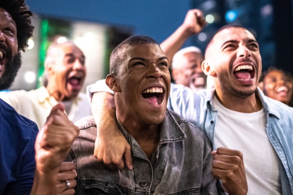 Image for article 'The neuroscience of fandom'