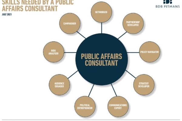 Image for article 'What Makes A Good Public Affairs Consultant?'