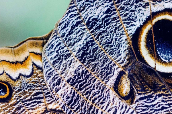 Image for article 'Are PRs transformers in disguise?'