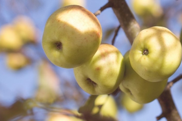 Image for article 'Is a PR Strategy a Tougher Sell to Clients than PR Tactics Are?'