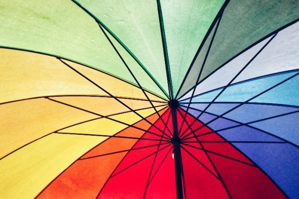 Image for article 'Diversity in the workplace - actions speak louder than words'