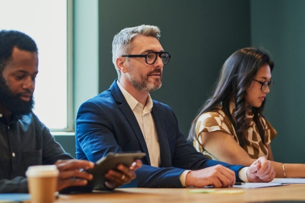 business professionals in meeting