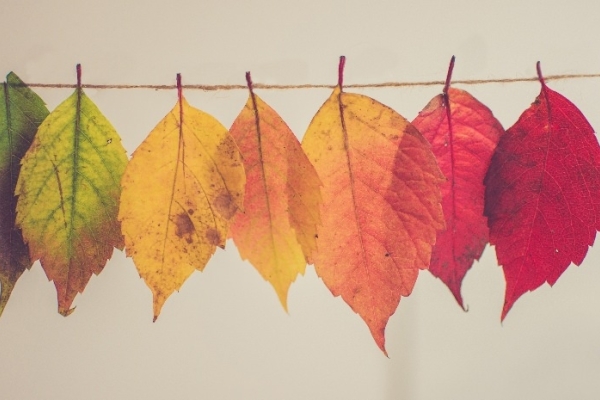 Image for article 'When people matter: how communicators can influence organisational change for the better'