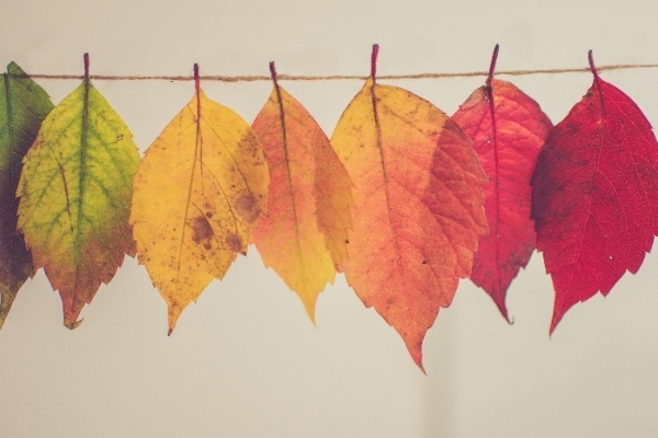 Image for article 'How will corporate content change in a post-Covid world?'