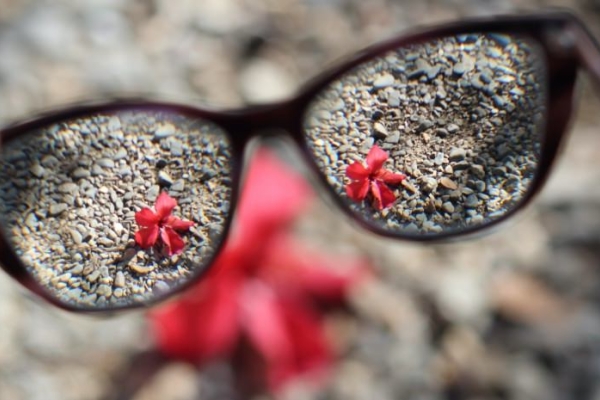 Image for article 'Finding clarity in uncertain times'