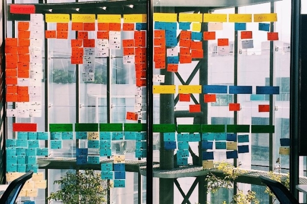 Image for article 'How can you help your organisation live its values?'