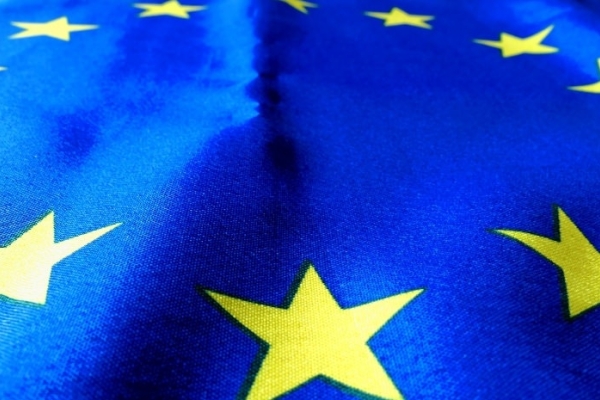 Image for article 'Parties launch for unexpected elections'