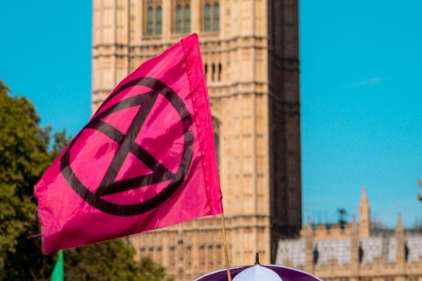 Image for article 'What Charites Need To Learn From The Actions Of Extinction Rebellion (And Others)'