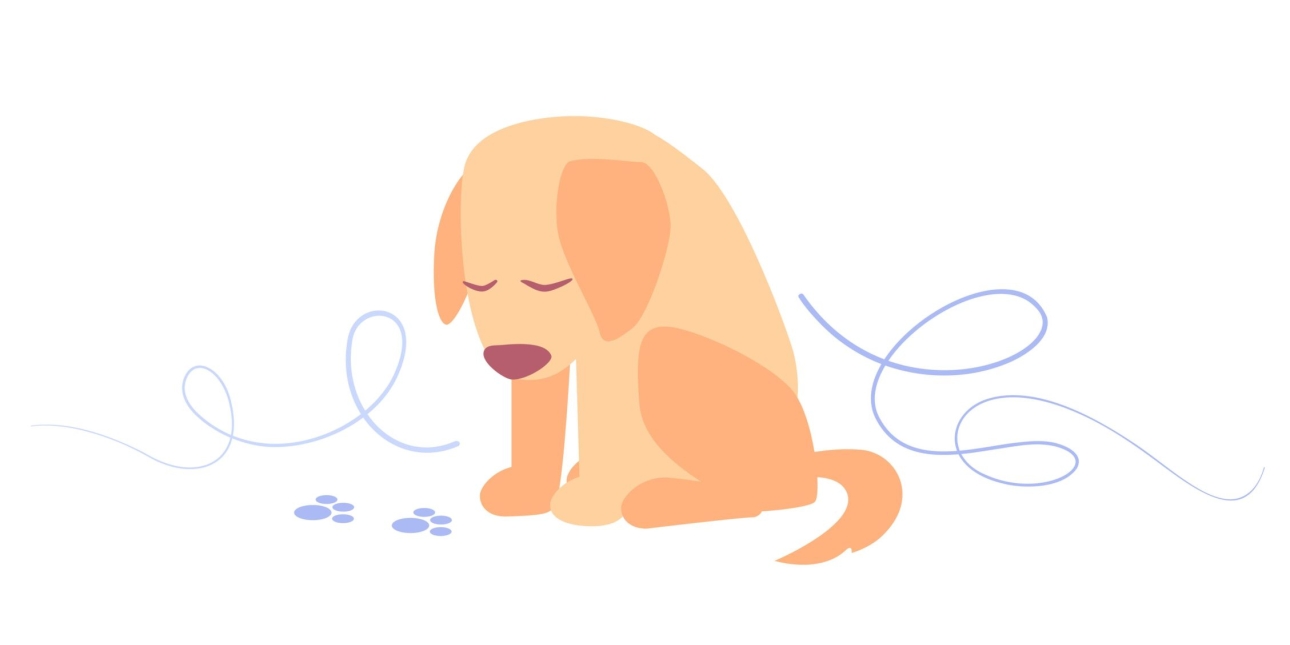 an illustration of a small pinky-brown puppy looking forlorn with background squiggles and pawprints