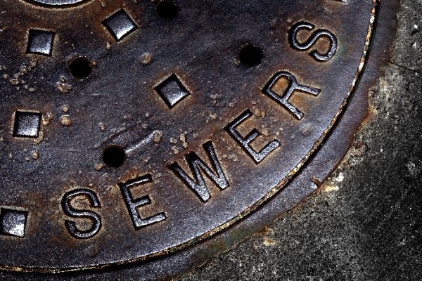 Image for article 'What Can Sewage Teach Us?'