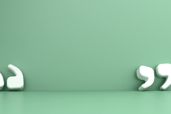 Image for article 'Political Language: The Careful Choice Of Words'