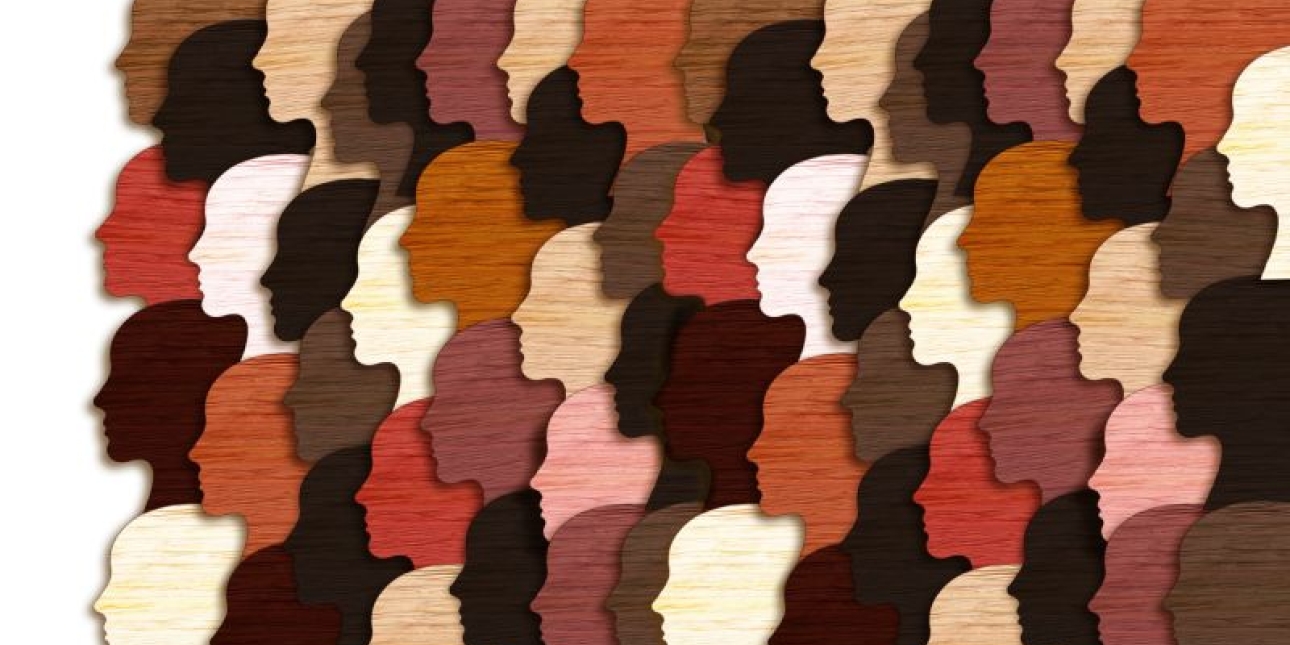 A collage which consists of the side profile of many heads, cut out and facing to the left of the screen. The heads have a wooden texture. The heads are in various shades of wood, from dark to light.