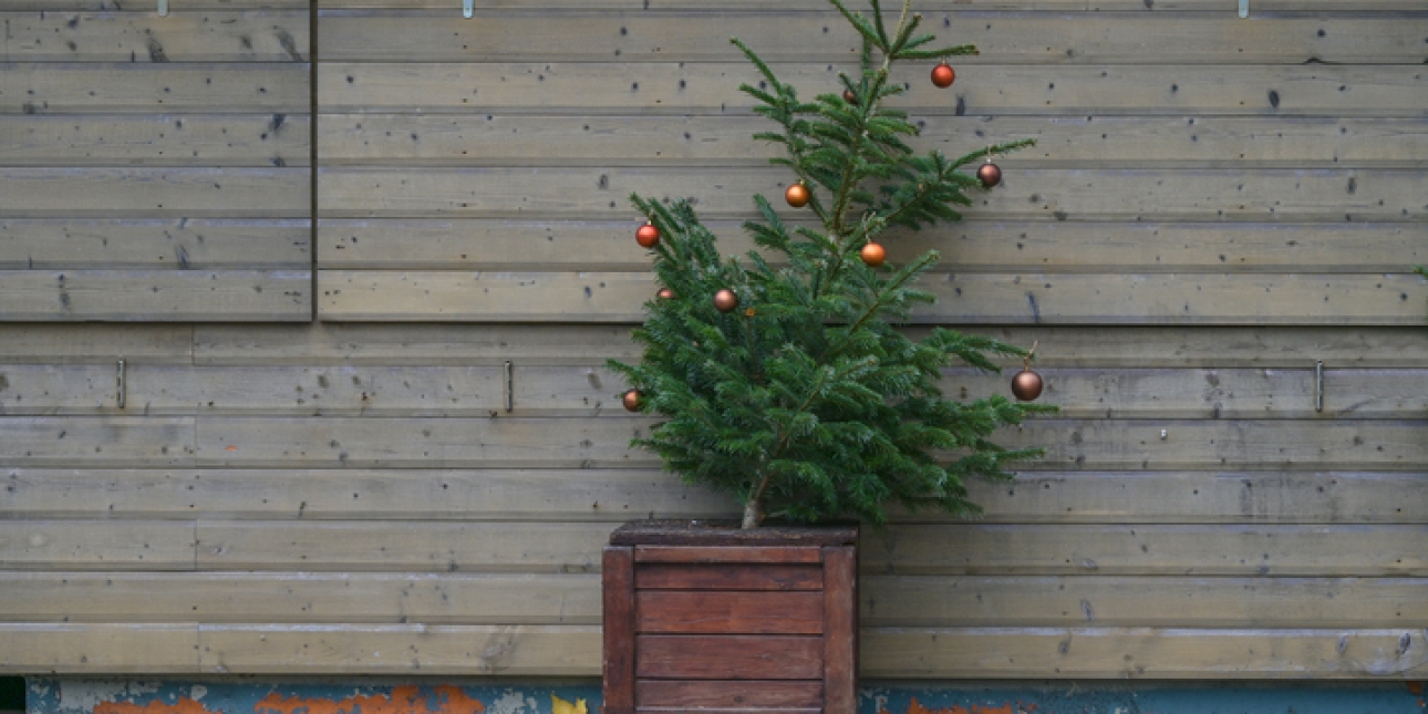 A Christmas tree at an angle in a square pot and with baubles
