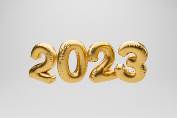 Image for article 'How to set your professional goals for 2023'