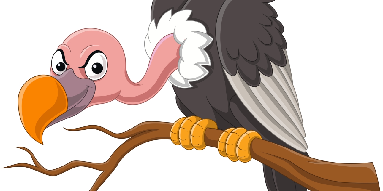 An illustration of a comical looking vulture stood on a branch