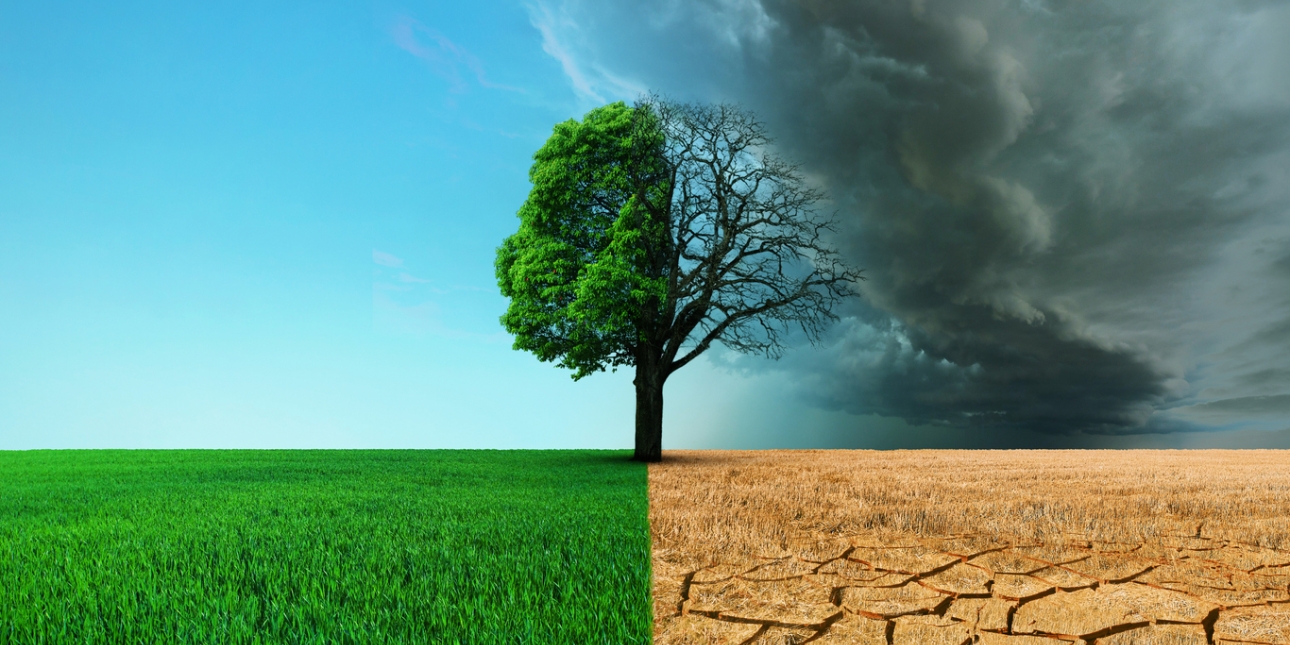 A computer generation showing a tree. The left hand side of the tree is healthy and full of leaves in a field of grass with a blue sky. The right hand side of the tree is bare, the earth is dry and cracked, grass is yellow, the sky is dark and cloudy
