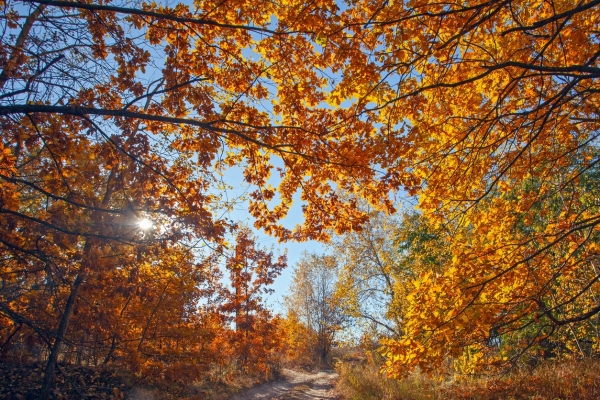 Image for article 'How to shift your brand’s social media strategy through the seasons'