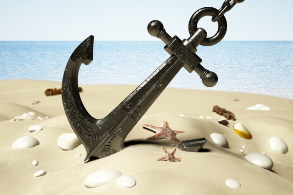 Image for article 'Elon Musk and price anchoring'