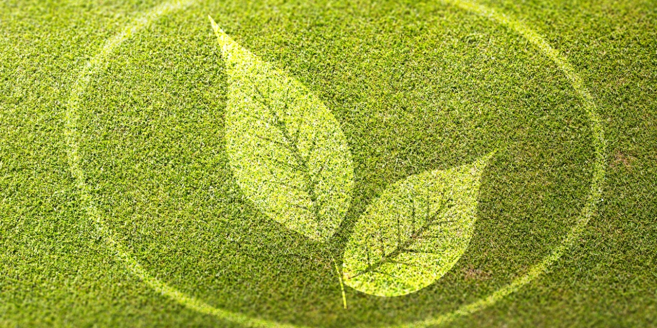 Impression of two light green leaves imprinted on darker green grass