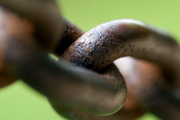 Image for article 'Reputation and Political Engagement: The Fundamental Link'