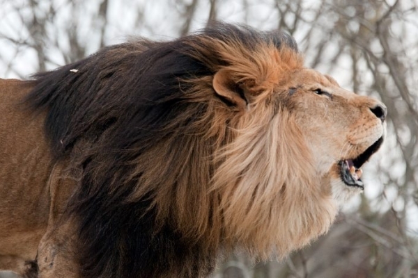 Image for article 'Proud of public relations'