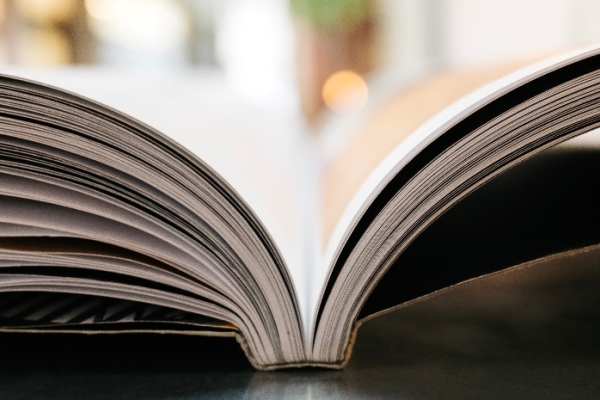 Image for article 'Get your op-eds p-opping'