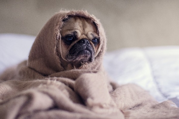 Image for article 'What can we do when everything’s a struggle?'