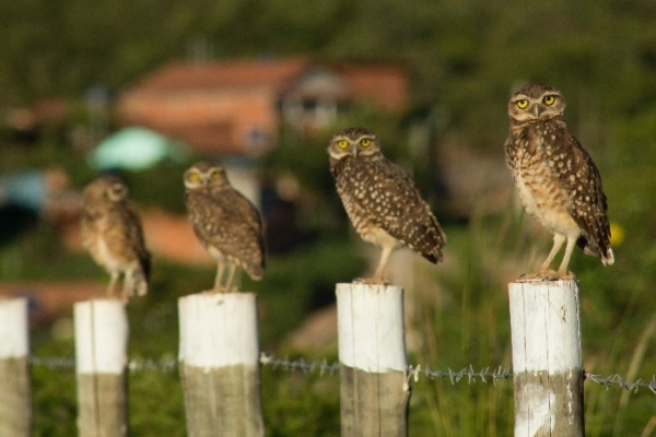 Image for article '#PR60Over60 - Addressing an under-appreciated vector of diversity'