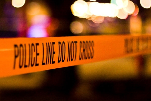 Image for article 'Wiltshire Council on Novichok crisis response'