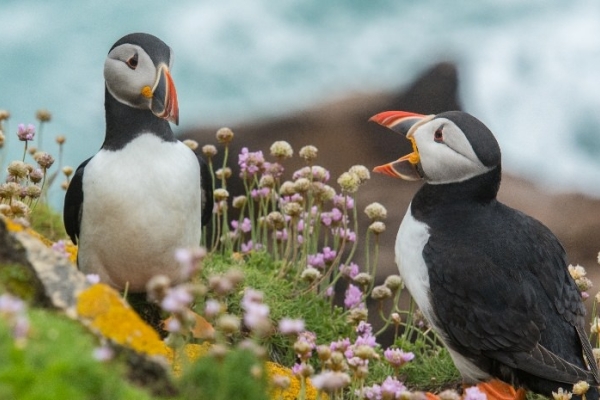 Image for article 'Why is tone of voice so important in corporate communication?'