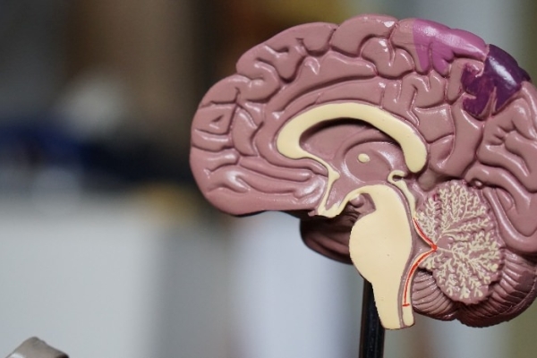 Image for article 'Making Your Campaign Memorable'