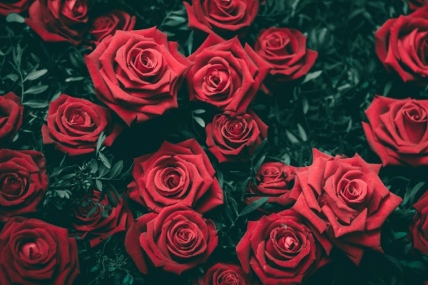 Image for article 'The Rise (Again) Of Labour'