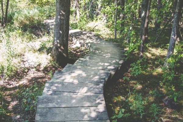 Image for article 'Creating achievable goals for 2020'