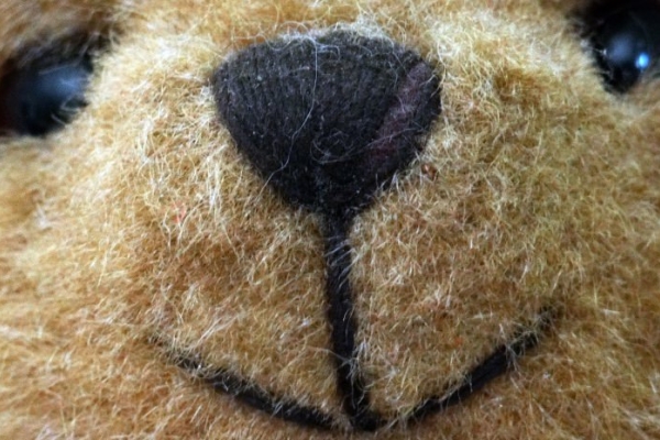 Image for article 'Pay your age promotion chaos – did Build-A-Bear have a plan B?'