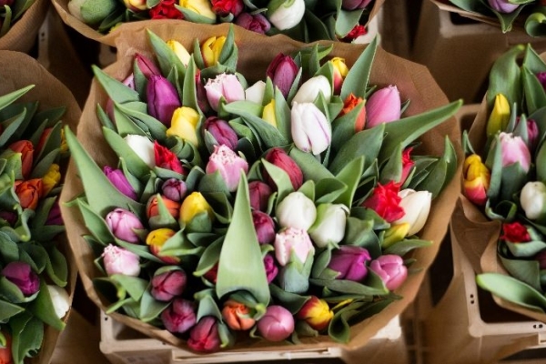 Image for article 'Going Dutch? Not According to the 2020 Edelman Trust Barometer'