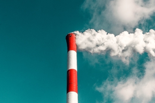 Image for article 'What's the Net Zero plan?'