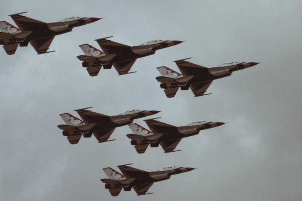 Image for article ''