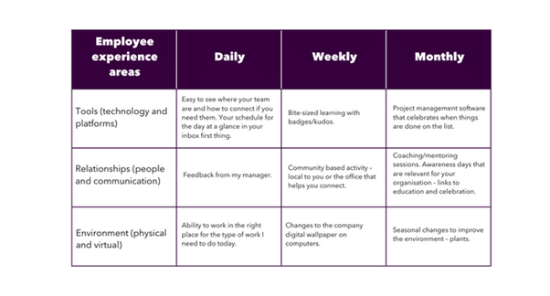 A chart which displays the employee experience areas on daily, weekly and monthly basis vs the tools, relationships and environment required of them